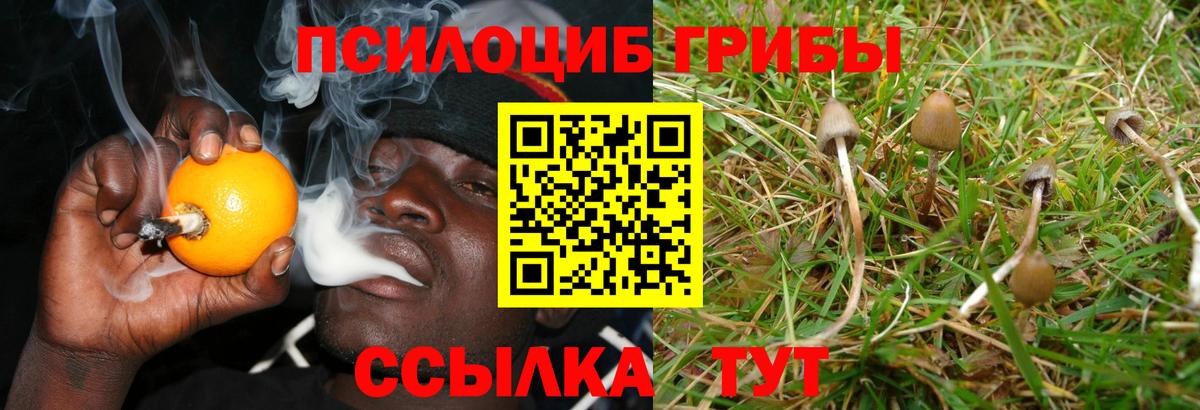 Псилоцибиновые грибы мухоморы Красноармейск