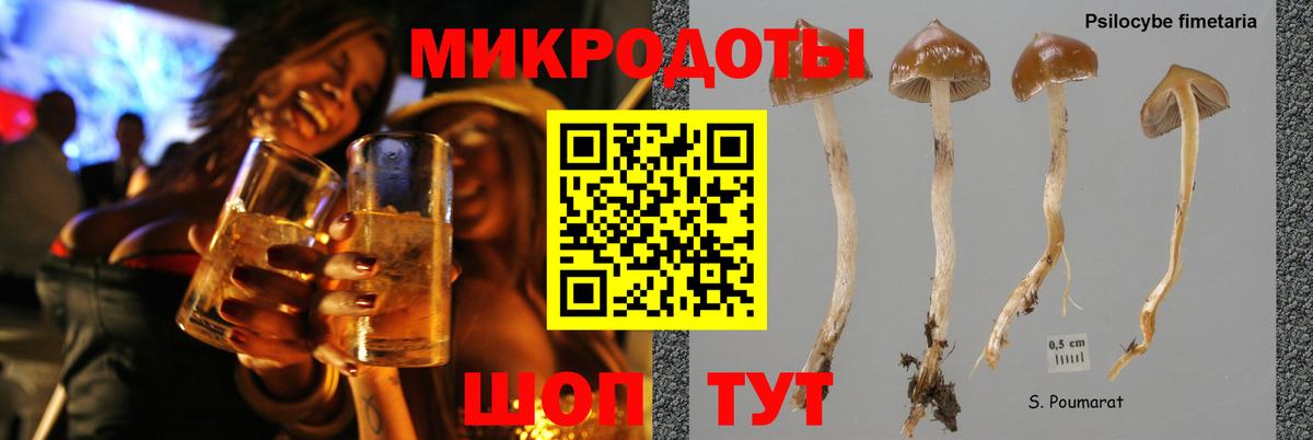 Псилоцибиновые грибы MAGIC MUSHROOMS  Псилоцибиновые грибы MAGIC MUSHROOMS  Красноармейск  Вход с VPN 
